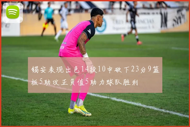 锡安表现出色14投10中砍下23分9篮板5助攻正负值5助力球队胜利