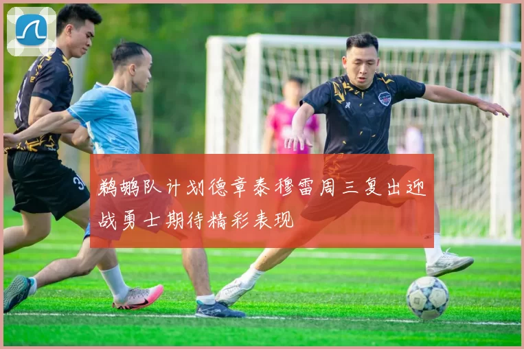鹈鹕队计划德章泰穆雷周三复出迎战勇士期待精彩表现